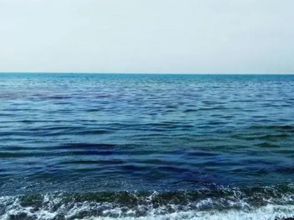 日本核廢水將排海-影響何以估量？